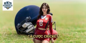 Cá cược Cricket Kèo nhà cái gift - Đặt cược môn thể thao vua với tỷ lệ cực hấp dẫn