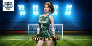Kèo chấp 1.25 Kèo nhà cái gift - Làm Chủ Tỷ Lệ Kèo Phức Tạp Nhất Châu Á