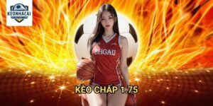Kèo chấp 1.75 Kèo nhà cái gift - Thách Thức Cao Cấp Cho Chuyên Gia
