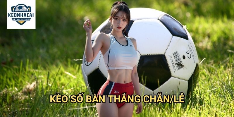 Kèo số bàn thắng chẵn/lẻ Kèo nhà cái gift - Nghệ Thuật Dự Đoán Theo Toán Học 1 Kèo số bàn thắng chẵn/lẻ Kèo nhà cái gift - Nghệ Thuật Dự Đoán Theo Toán Học