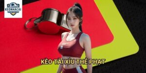 Kèo tài xỉu thẻ phạt Kèo nhà cái gift - Làm Chủ Nghệ Thuật Dự Đoán Kỷ Luật
