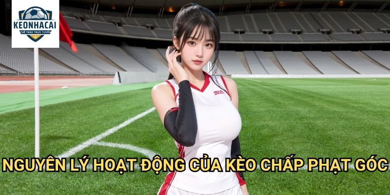 Kèo chấp phạt góc Kèo nhà cái gift - Thách Thức Mới Cho Cao Thủ Soi Kèo 2 Nguyên Lý Hoạt Động Của Kèo chấp phạt góc