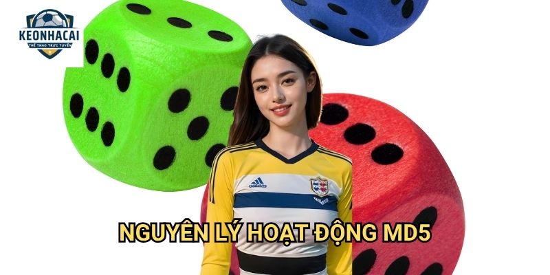 Tài Xỉu MD5 Kèo nhà cái gift - Công nghệ mã hóa đảm bảo công bằng tuyệt đối 2 Nguyên lý hoạt động MD5