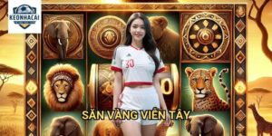 Săn Vàng Viễn Tây Kèo nhà cái gift - Cuộc Phiêu Lưu Tìm Kho Báu Miền Tây Hoang Dã