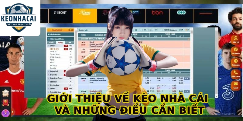 Giới thiệu về Kèo nhà cái gift và những điều cần biết
